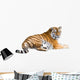 Siberian Tiger Cutout Wall Decal