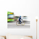 Young boy on bike Wall Mural