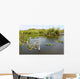Everglades National Park USA Wall Mural