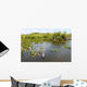Everglades National Park USA Wall Mural