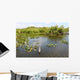 Everglades National Park USA Wall Mural