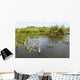Everglades National Park USA Wall Mural