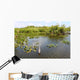 Everglades National Park USA Wall Mural