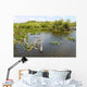 Everglades National Park USA Wall Mural