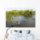 Everglades National Park USA Wall Mural