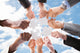 Multiethnic Business People Assembling Wall Decal