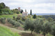Stone House Olive Country Wall Decal