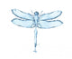 Water Splash Dragonfly Wall Decal