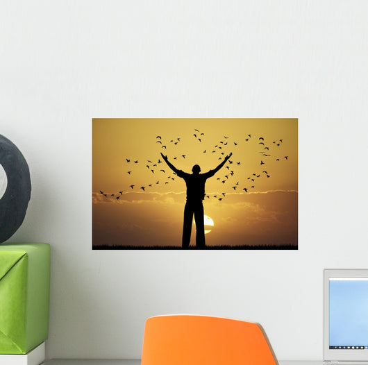 man looks flock of birds Wall Mural