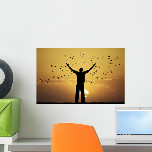 man looks flock of birds Wall Mural