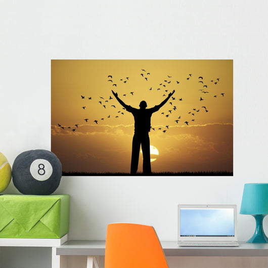 man looks flock of birds Wall Mural