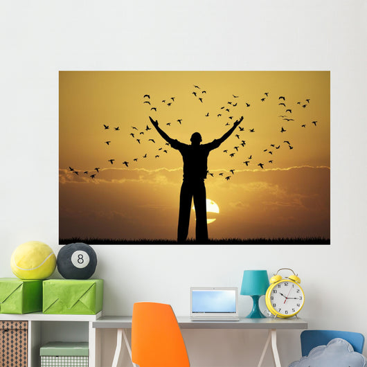 man looks flock of birds Wall Mural