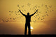 Man Looks Flock Of Birds Wall Decal