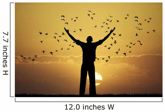 man looks flock of birds Wall Mural