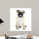 Funny Cute and Playful Wall Decal