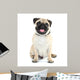 Funny Cute and Playful Wall Decal