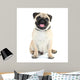 Funny Cute and Playful Wall Decal