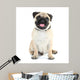 Funny Cute and Playful Wall Decal