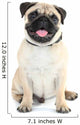 Funny Cute and Playful Wall Decal