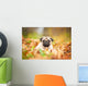 Beige pug dog lying on the leaves in autumn Wall Mural