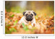 Beige pug dog lying on the leaves in autumn Wall Mural