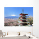 Hanami Mount Fuji Wall Mural