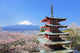 Hanami Mount Fuji Wall Decal