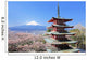 Hanami Mount Fuji Wall Mural