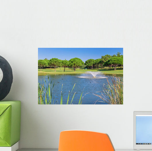 Summer Garden park with lake and ducks. Fountain splashes. Wall Mural