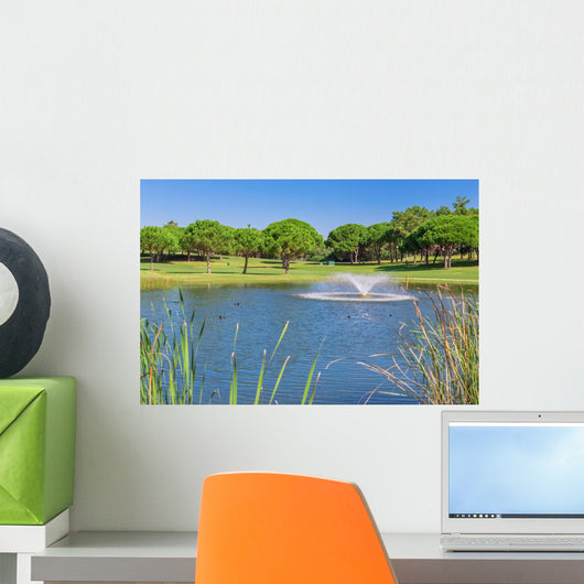 Summer Garden park with lake and ducks. Fountain splashes. Wall Mural