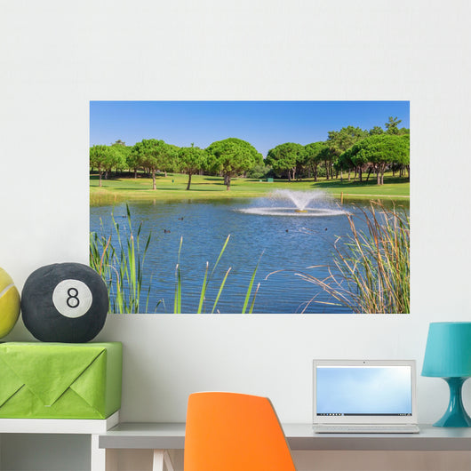 Summer Garden park with lake and ducks. Fountain splashes. Wall Mural