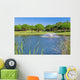 Summer Garden park with lake and ducks. Fountain splashes. Wall Mural