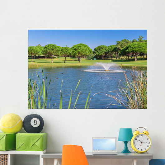 Summer Garden park with lake and ducks. Fountain splashes. Wall Mural