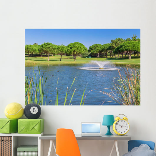 Summer Garden park with lake and ducks. Fountain splashes. Wall Mural