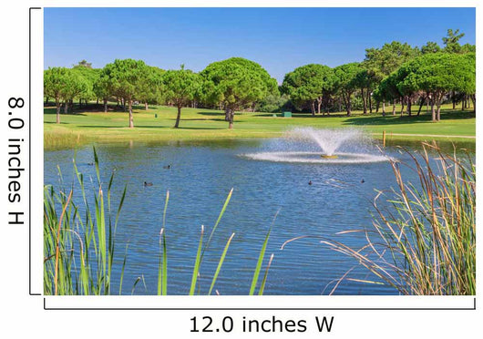 Summer Garden park with lake and ducks. Fountain splashes. Wall Mural