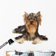 Dog with funny bang of hair Wall Mural