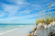 Beautiful Florida Coastline Wall Decal