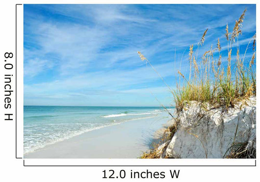Beautiful Florida Coastline Wall Decal