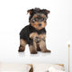 Yorkshire Terrier puppy Wall Decal