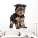 Yorkshire Terrier puppy Wall Decal