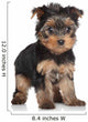 Yorkshire Terrier puppy Wall Decal