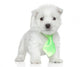 West Highland White Terrier Wall Decal