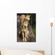 Dingo Canis Lupus Dingo Wall Decal