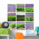 Provencal mounting Wall Mural