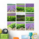 Provencal mounting Wall Mural