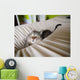 Cat hidden in a linen Wall Mural