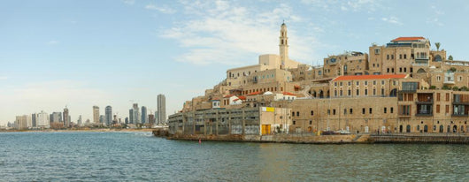 View of Jaffa with Tel Aviv in the background Wall Mural
