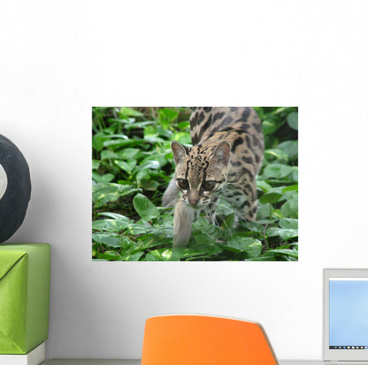 ocelot1 Wall Mural