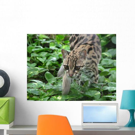 ocelot1 Wall Mural
