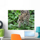 ocelot1 Wall Mural